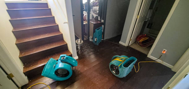 Best Local water damage restoration  in Flagtown, NJ