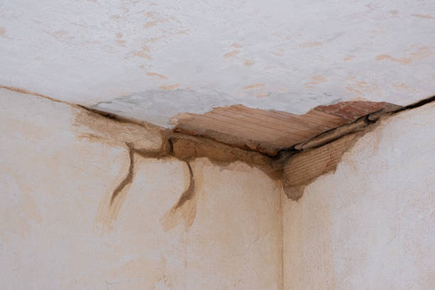 Best Flood restoration services  in Flagtown, NJ