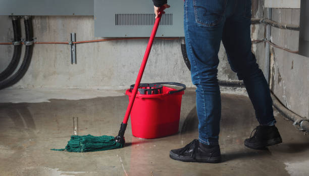 Best Sewage cleanup and water damage restoration  in Flagtown, NJ