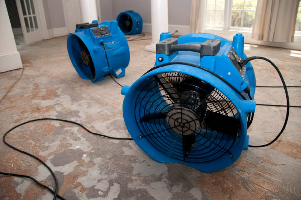 Professional Water damage restoration in Flagtown, NJ