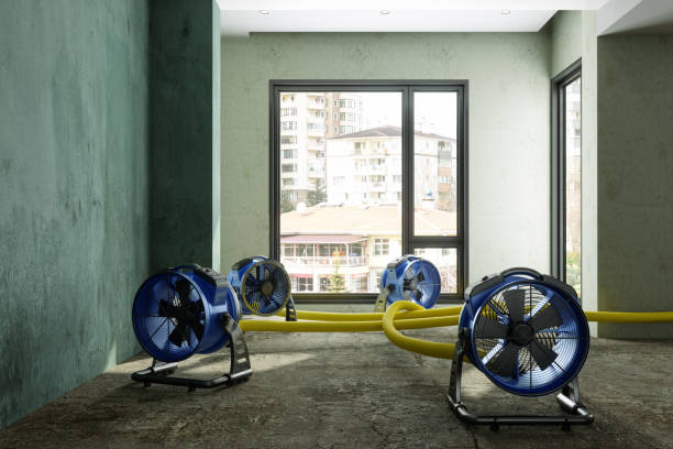Water damage restoration insurance claims in Flagtown, NJ